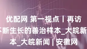 优配网 第一视点丨再访后陈：不断生长的善治样本_大皖新闻 | 安徽网