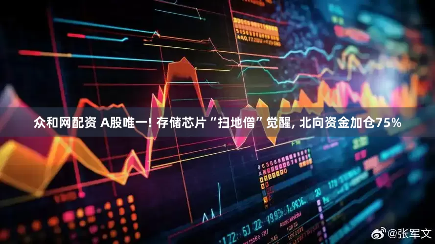 众和网配资 A股唯一! 存储芯片“扫地僧”觉醒, 北向资金加仓75%